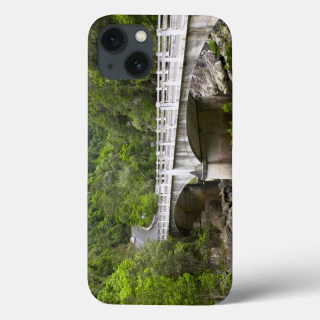 Bridge Over Stream, Tsitsikamma National Park Case-Mate iPhone Case (Back)