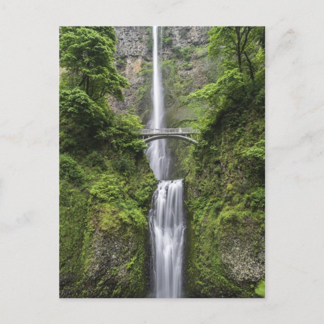 Bridge over Waterfall Landscape Postcard (Front)
