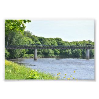 Bridge Photo Print