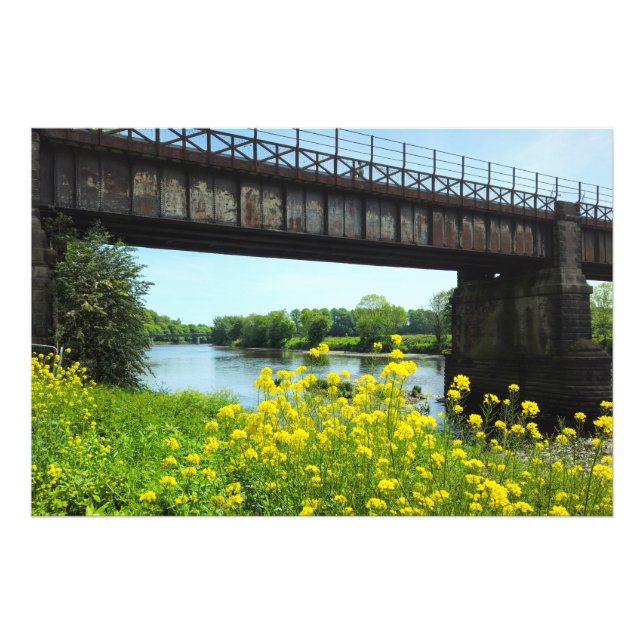 Bridge  photo print (Front)