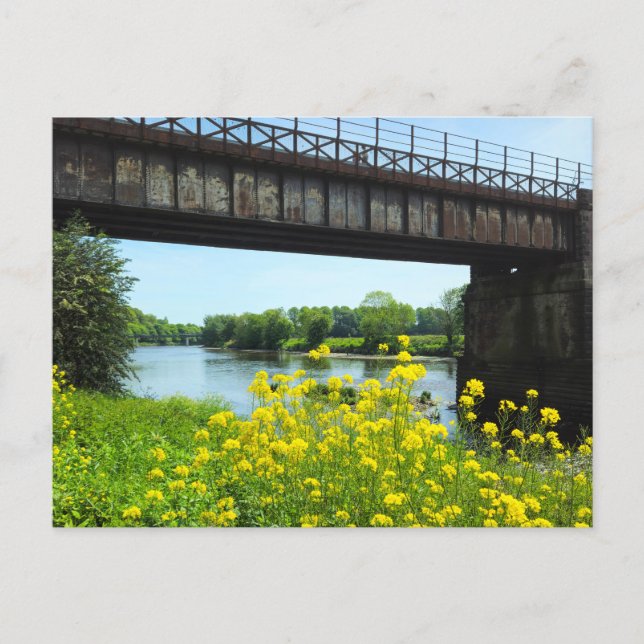 Bridge  postcard (Front)