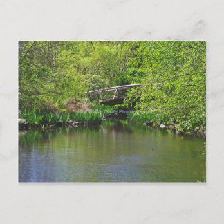 bridge postcard
