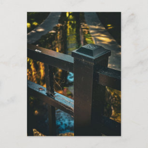 Bridge Railing with Sunlight Reflections Postcard