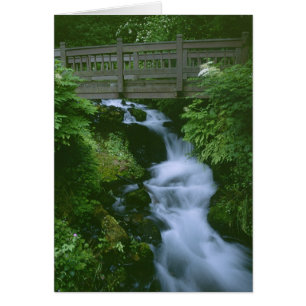 Bridge To Tranquillity