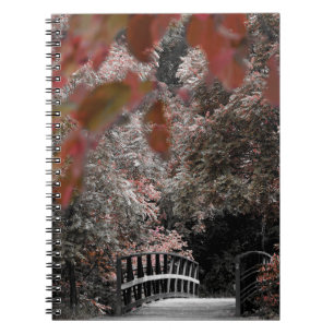 Bridge Trail Pathway In Nature Photography Notebook
