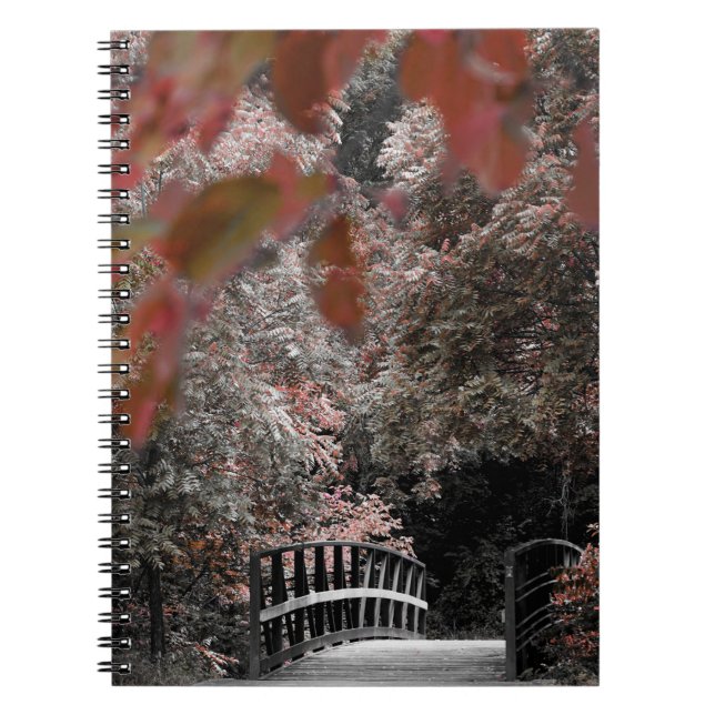Bridge Trail Pathway In Nature Photography Notebook (Front)