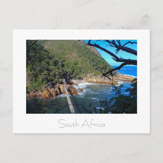 Bridge Tsitsikamma Park South Africa Postcard (Front)