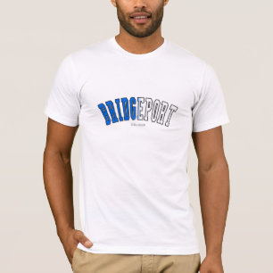 Bridgeport in Connecticut state flag colours T-Shirt