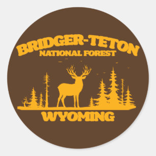 Bridger-Teton National Forest Classic Round Sticker