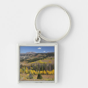 Bridger-Teton National Forest Keychain