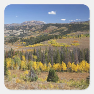 Bridger-Teton National Forest Square Sticker