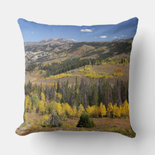 Bridger-Teton National Forest Throw Pillow