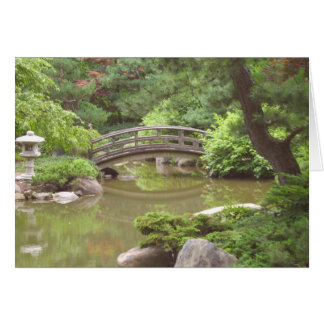 Bridges