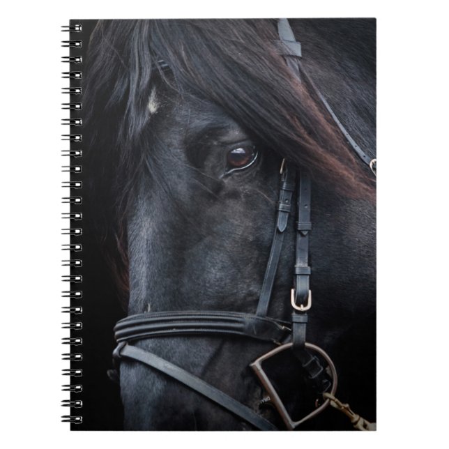Bridled Black Stallion Face Notebook (Front)