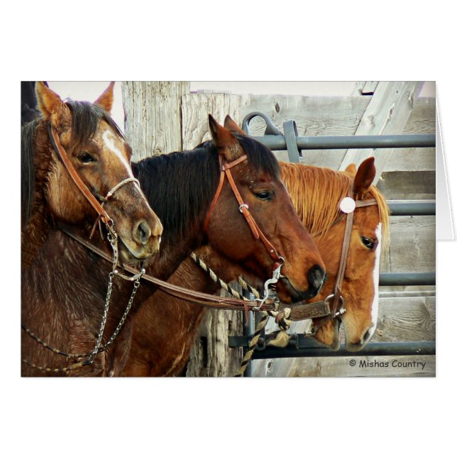 Bridled Horse Heads (Front Horizontal)