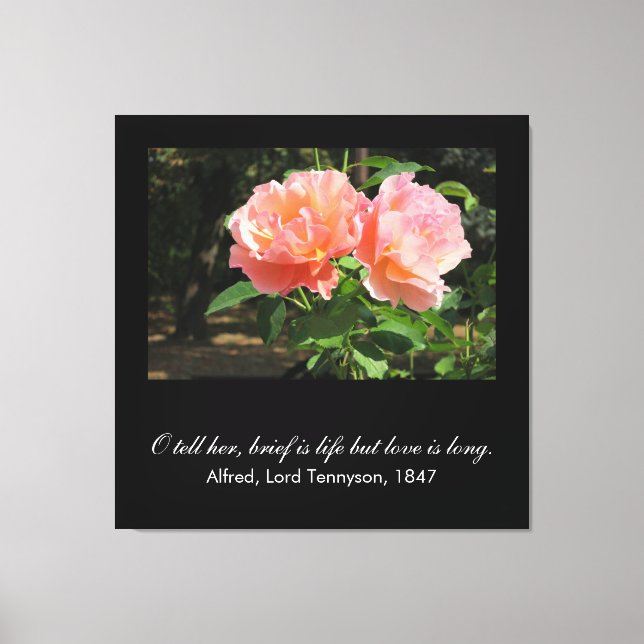 Brief is life but love is long (Alfred Tennyson) Canvas Print (Front)