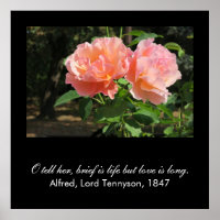 Brief is life but love is long (Alfred Tennyson)