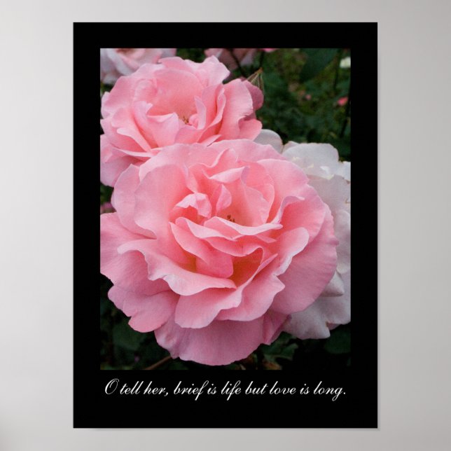 Brief is life but love is long (Tennyson quote) Poster (Front)