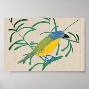 Bright African Bird Bush Shrike on Linen Canvas Poster