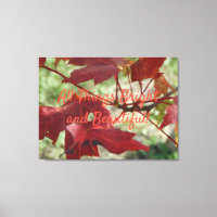 Bright and Beautiful Maple Leaves on a