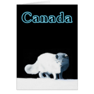 Bright Arctic Fox