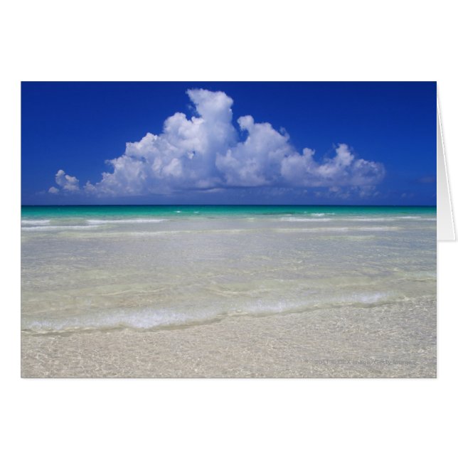 Bright beach (Front Horizontal)