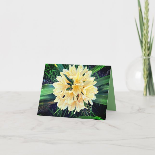 Bright Blooms Card  (Front)