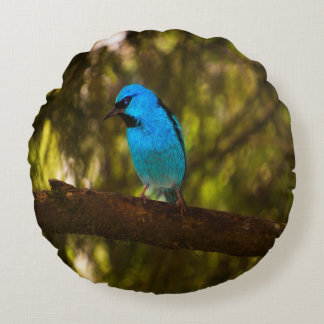 Bright Blue Bird Round Pillow