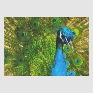 Bright Blue & Green Peacock Feathers Colourful Bir Tissue Paper