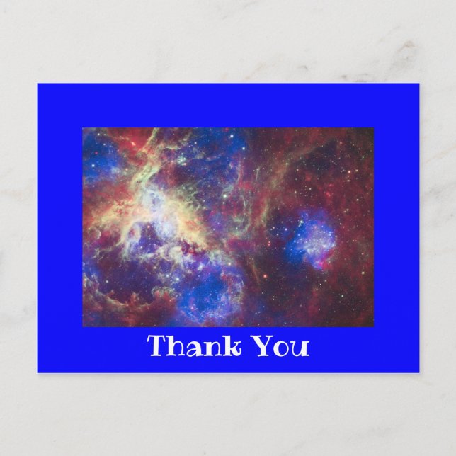Bright Blue Photo Border Thank You Postcard (Front)