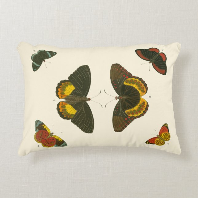 Bright Butterflies by Pieter Cramer Decorative Pillow (Front)