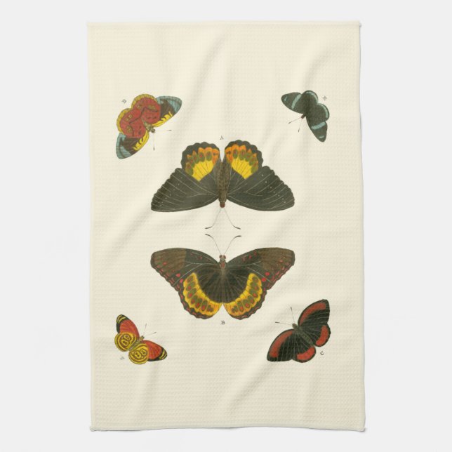 Bright Butterflies by Pieter Cramer Kitchen Towel (Vertical)