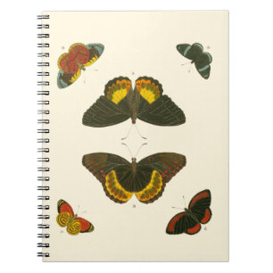 Bright Butterflies by Pieter Cramer Notebook
