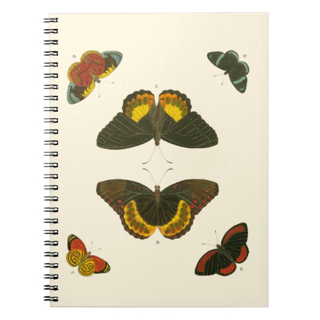 Bright Butterflies by Pieter Cramer Notebook (Front)