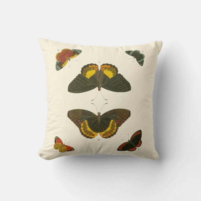 Bright Butterflies by Pieter Cramer Throw Pillow (Front)