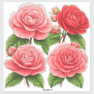 Bright Camellia Rose Bouquet