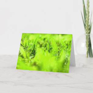 Bright Cheerful Green Plants Nature Greeting Card