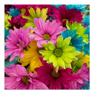 BRIGHT COLORFUL FLOWERS POSTER