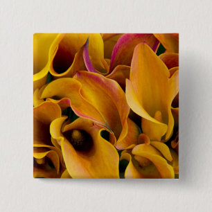 Bright colourful calla lilies at the 2 inch square button