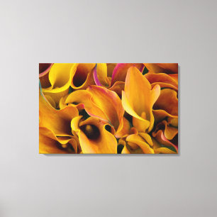 Bright colourful calla lilies at the canvas print