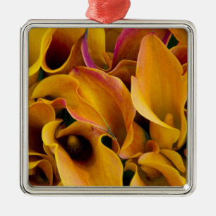 Bright colourful calla lilies at the metal ornament