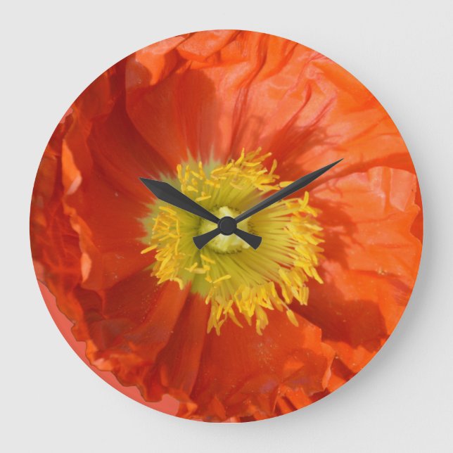 Bright Colourful Orange Tangerine Poppy Flower Large Clock (Front)