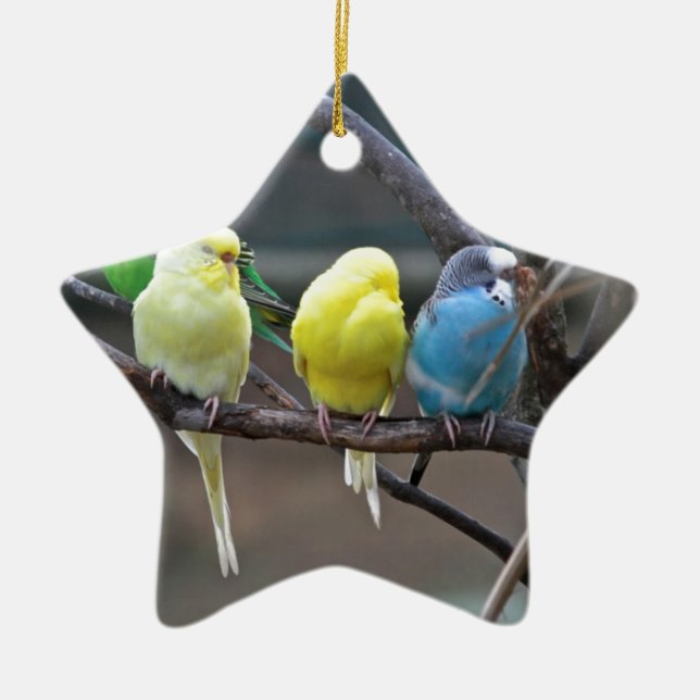 Bright Colourful Parakeets Budgies Parrots Birds Ceramic Ornament (Front)
