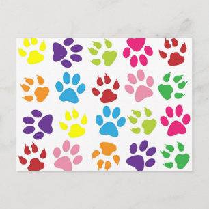 Bright Colourful Paw Prints Pattern Postcard
