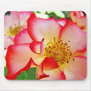 Bright Colourful Roses Flowers nature mousepads