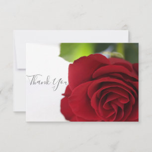 Bright Colours Red Rose Thank You Flat Card