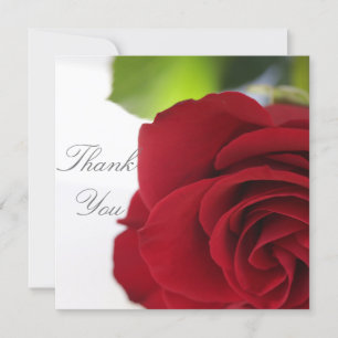 Bright Colours Red Rose Your Text Flat Card