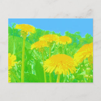 Bright Dandelions Postcard