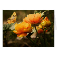 Bright Deep Yellow Flowers with Butterfly Blank