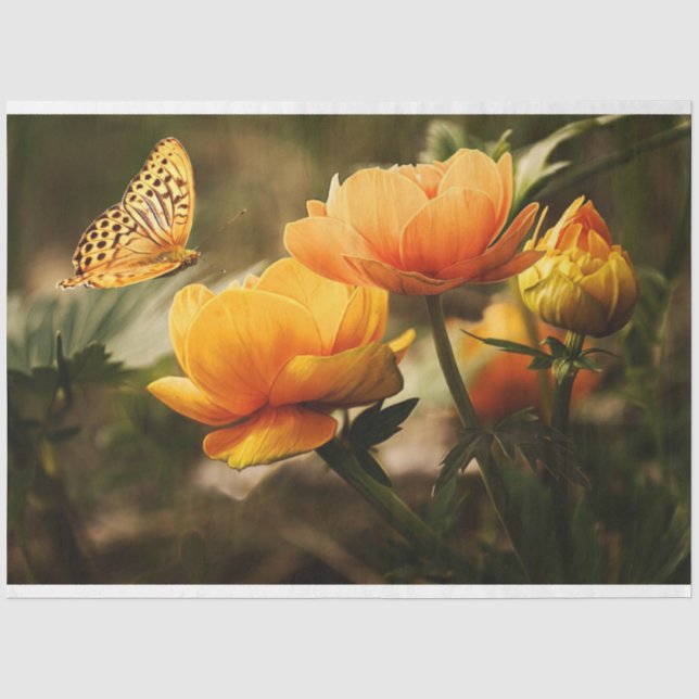 Bright Deep Yellow Flowers with Butterfly Tissue Paper (Front)